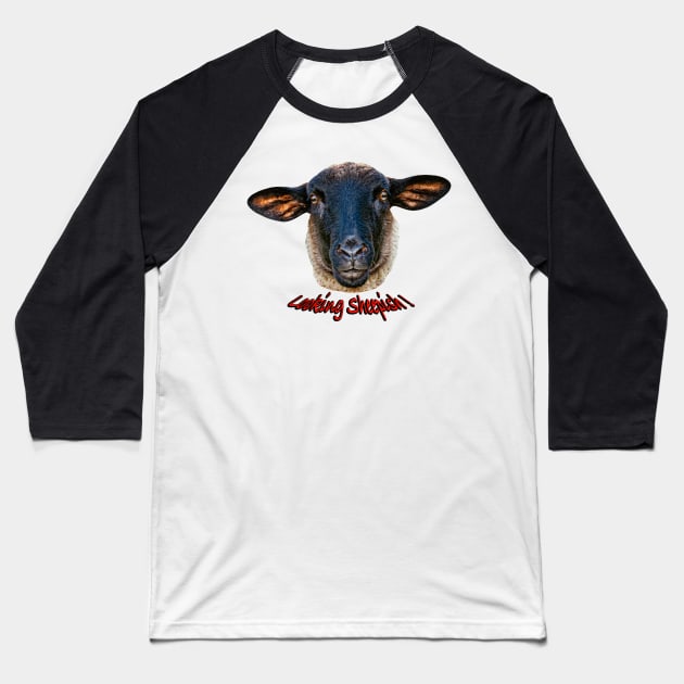 Looking Sheepish Baseball T-Shirt by dalyndigaital2@gmail.com